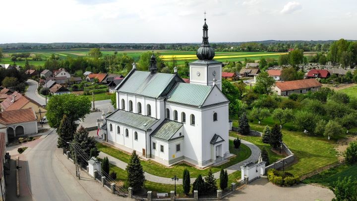Panorama wsi Gręboszów — tło sekcji hero strony głównej